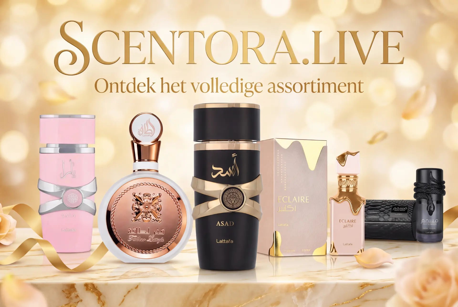 Scentora.LIVE — Ontdek het volledige assortiment